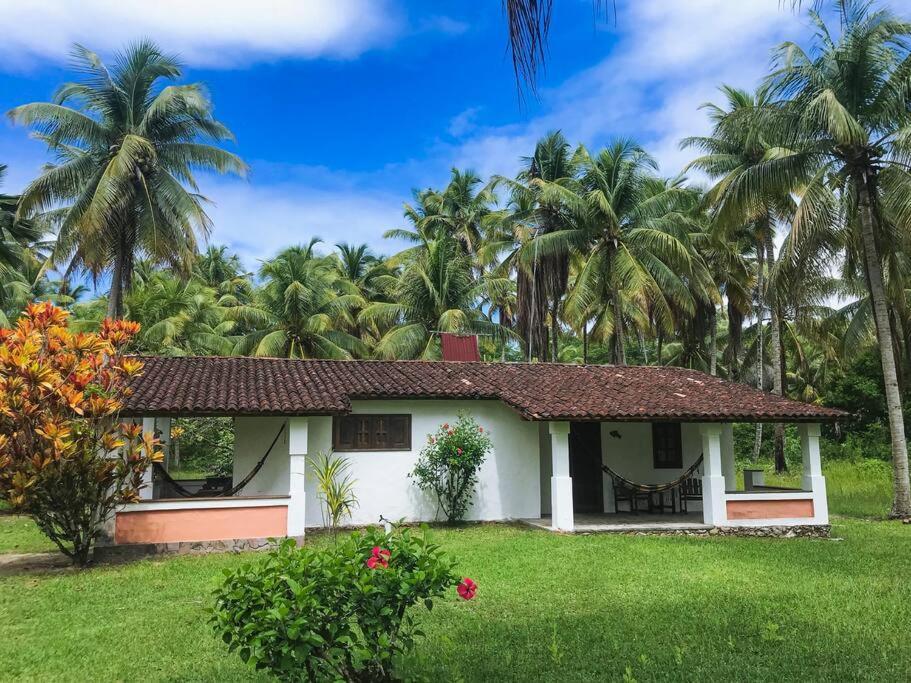 Casinha Jardim Das Palmeiras Morro de São Paulo Exterior photo
