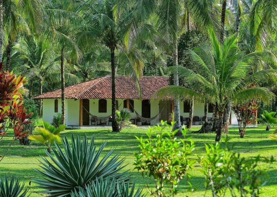 Casinha Jardim Das Palmeiras Morro de São Paulo Exterior photo
