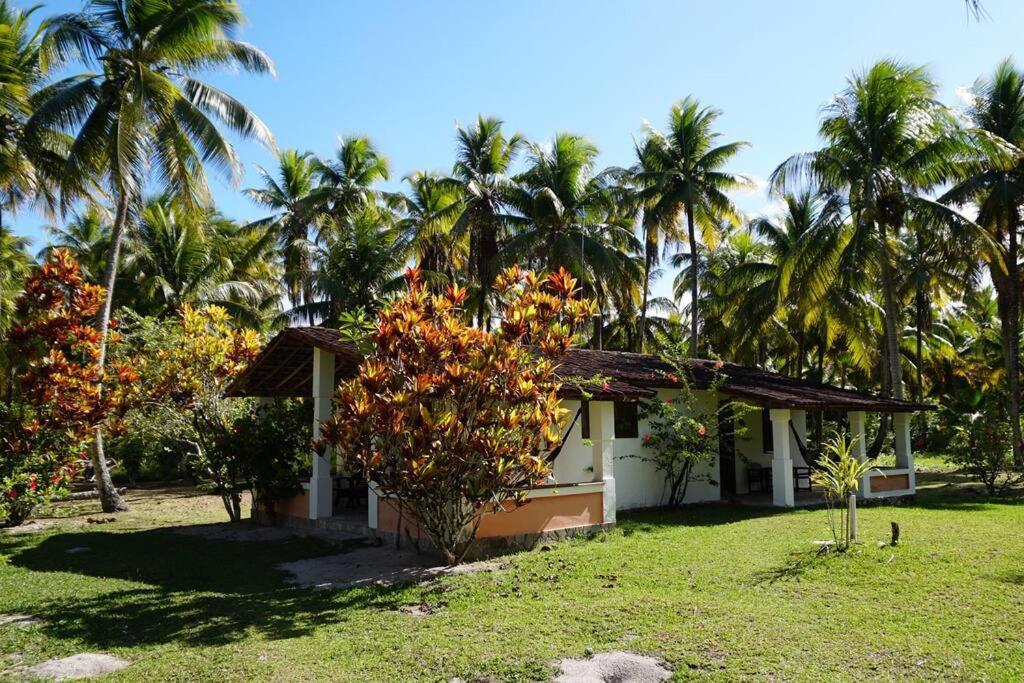 Casinha Jardim Das Palmeiras Morro de São Paulo Exterior photo