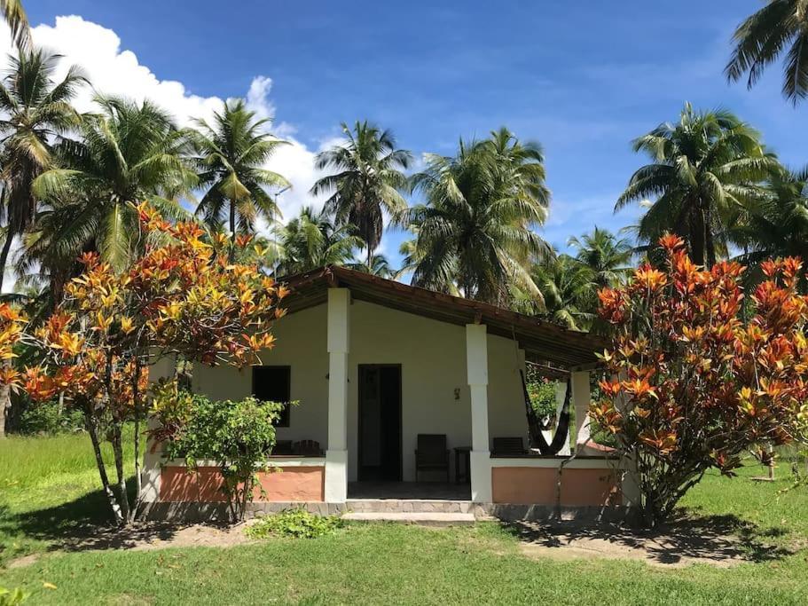 Casinha Jardim Das Palmeiras Morro de São Paulo Exterior photo