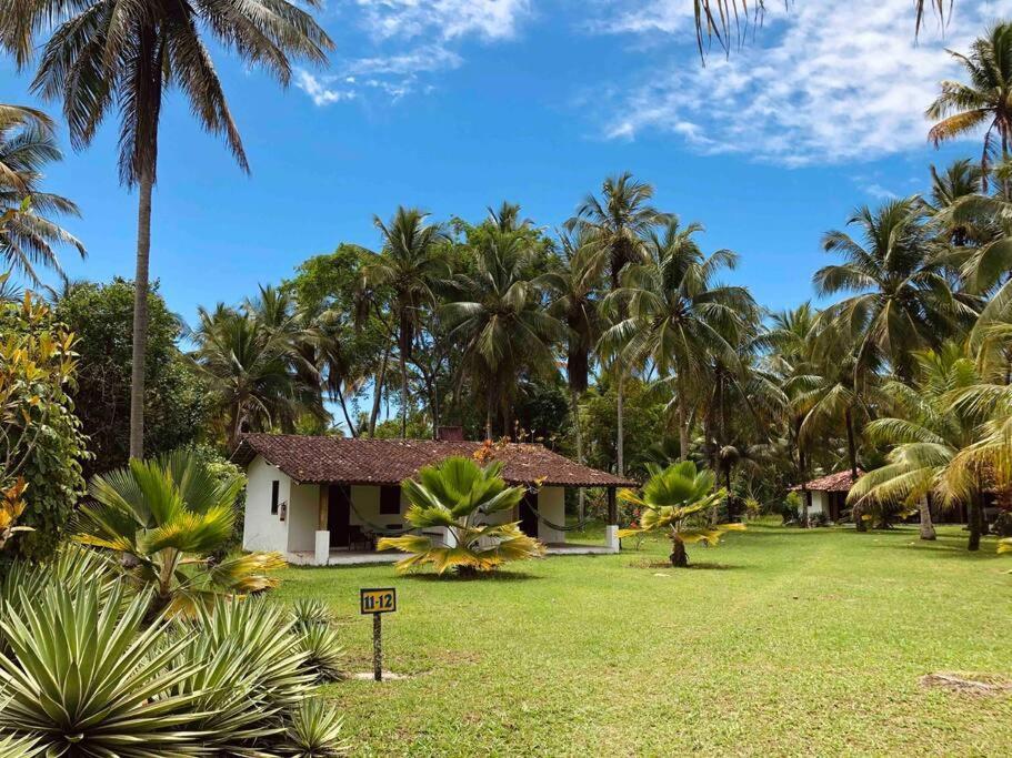 Casinha Jardim Das Palmeiras Morro de São Paulo Exterior photo